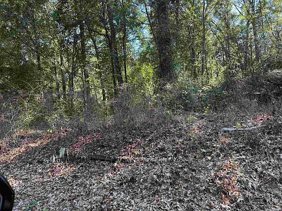 5th image of Shady Grove Rd
