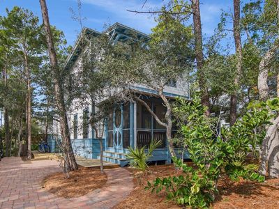 637 Patina Blvd, Inlet Beach, FL, 32461
