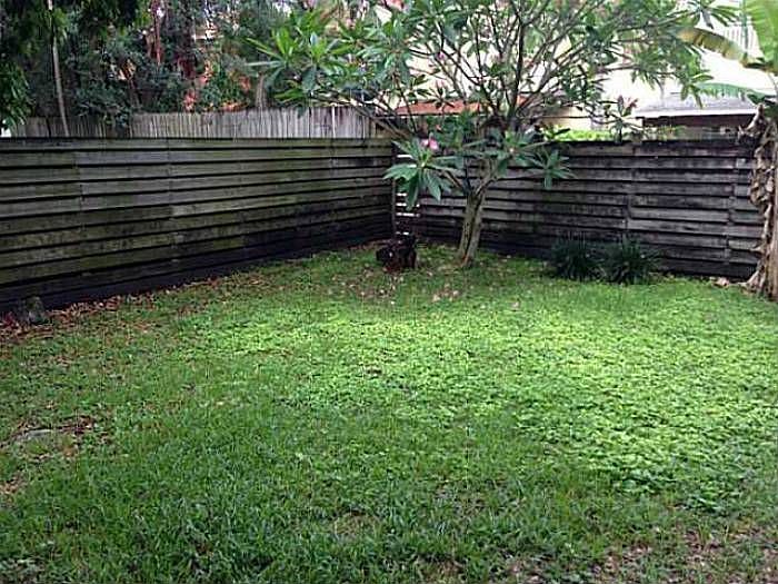 Large Backyard