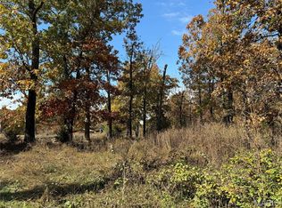 19677 Bean Creek Dr, Licking, MO 65542
