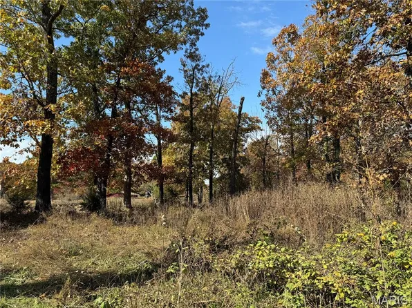 19677 Bean Creek Dr, Licking, MO 65542