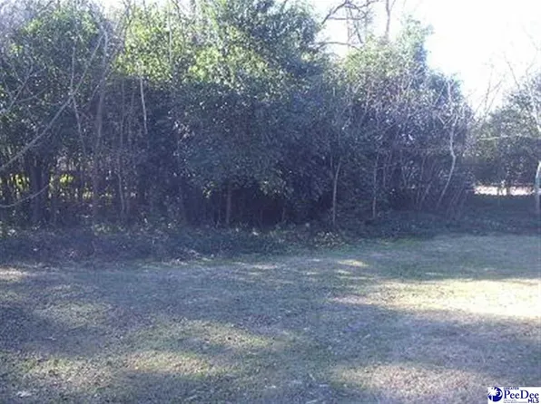 Pitt St, Hartsville, SC 29550