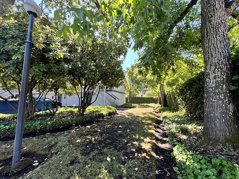 Greenfield Apartments — Photo 12