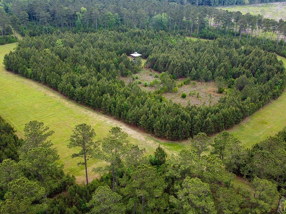 Hayne Hallsc Land For Sale 05