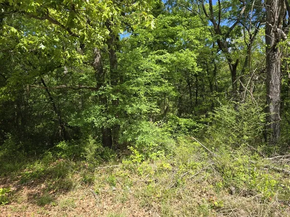 LOT 699 Shady Grove Rd, Mabank, TX 75156