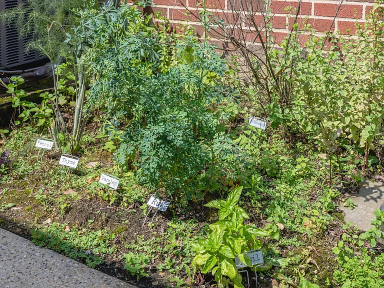 1506 Sanford Rd — Photo 17