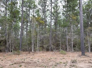 28125 Tract Dm #35-705, Broaddus, TX 75929