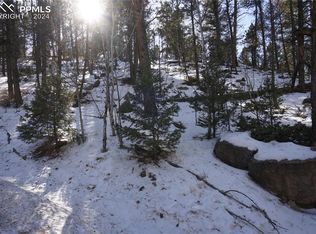 313 Crystal Peak Rd, Florissant, CO 80816
