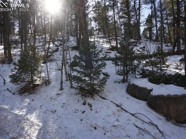 313 Crystal Peak Rd, Florissant, CO 80816