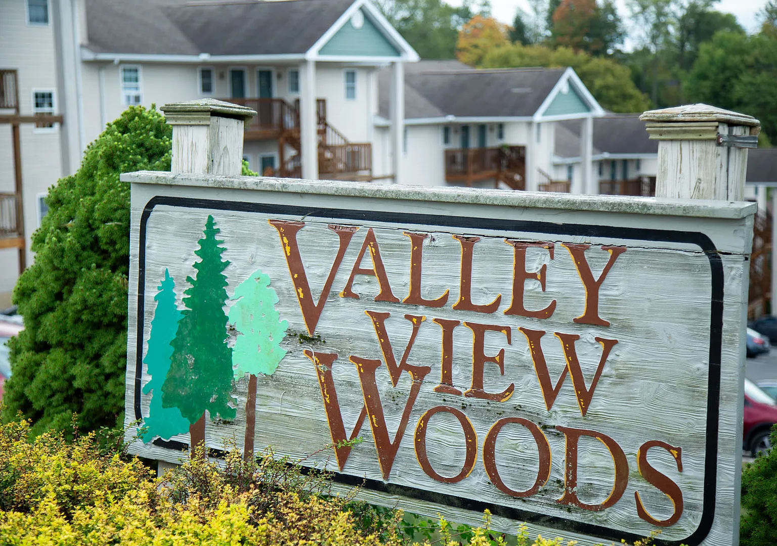 Valley View Woods — Photo 1