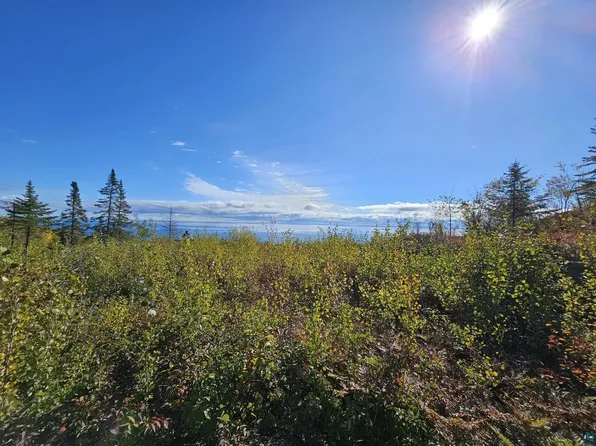 5156 Snowshoe Trl, Silver Bay, MN 55614