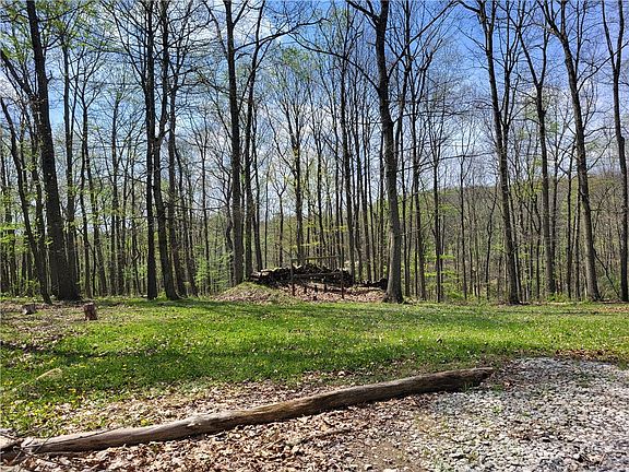 4th image of 45 Coulter Estates Dr