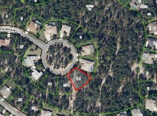 21 Paw Paw Ct N, Homosassa, FL 34446