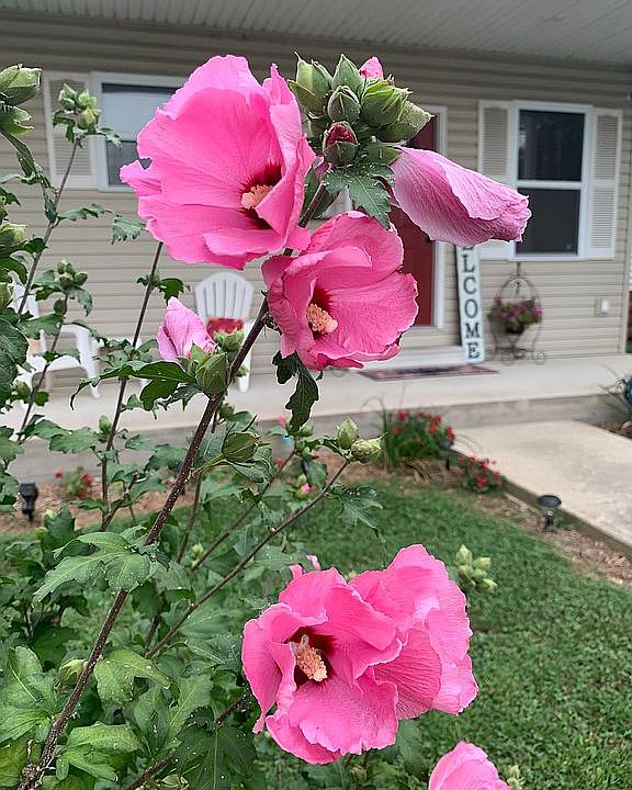 Curb appeal