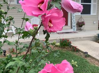 117 N Maple St, Centralia, IL 62801