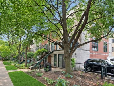 1812 S Dearborn St APT 3, Chicago, IL, 60616
