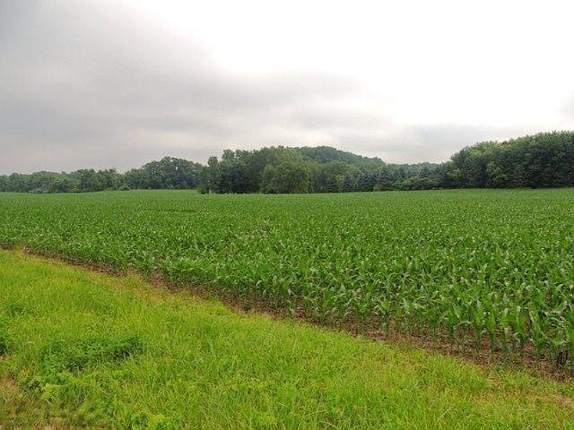 1st image of Territorial Rd