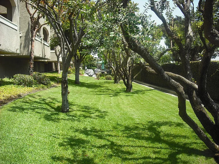 Yorktown Apartments — Photo 34