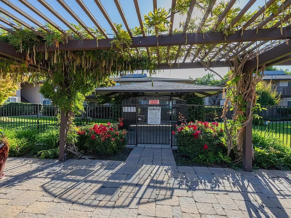 Pool and Gazebo Area