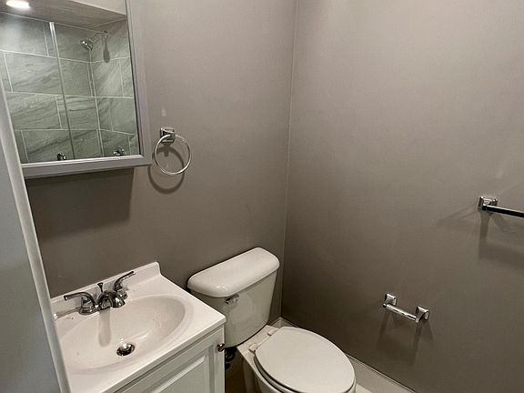 Lower Level Bathroom (stand up shower)