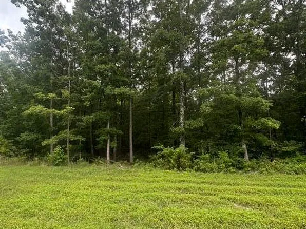198 Kyuga Dr #198, South Pittsburg, TN 37380