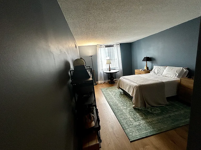 545 N Dearborn St #3008 — Photo 21