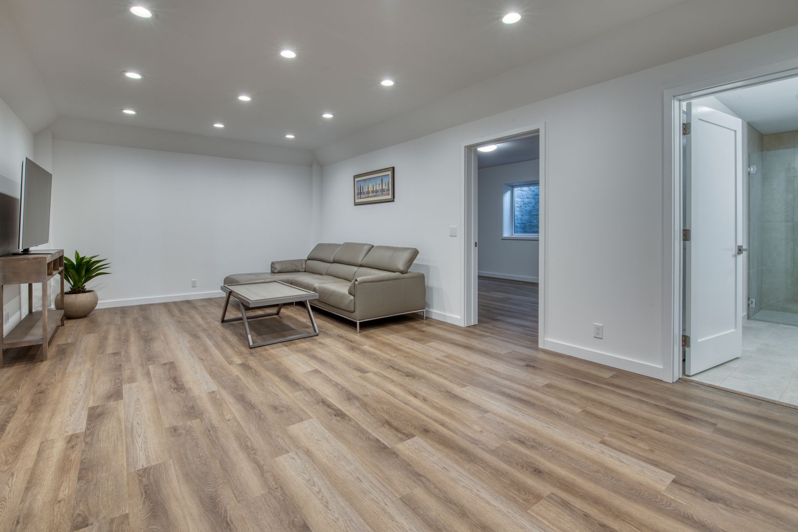  Lower Level Rec Room