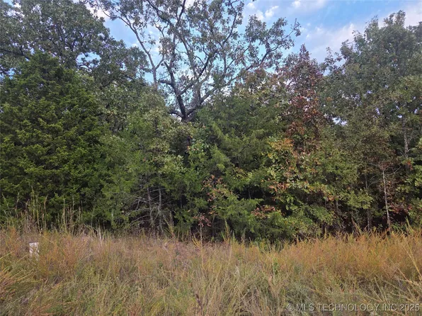 S 4492nd Rd, Vian, OK 74962