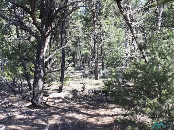 101 Naranjo Creek Rd, La Jara, NM 87027