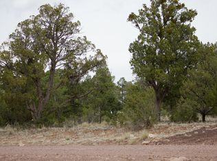3365 Turkey Run, Overgaard, AZ 85933