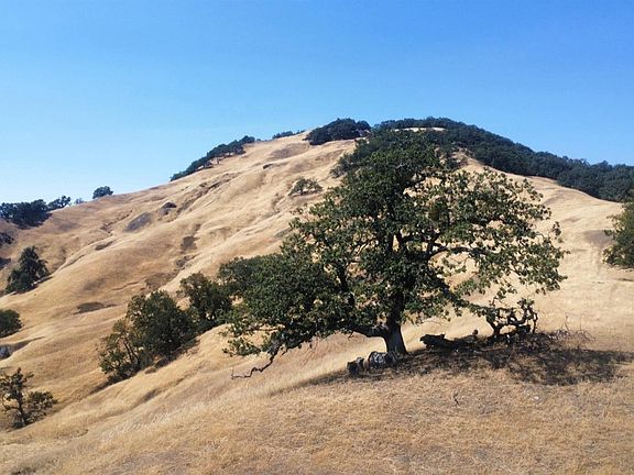 2nd image of 74250 Island Mountain Road