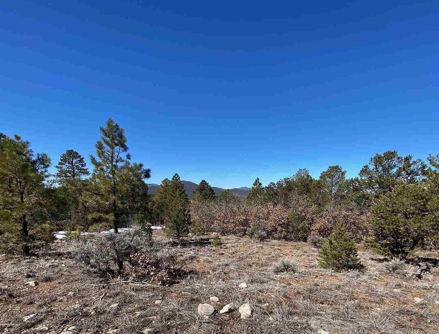 0 Off Echo Forest Rd, Questa, NM 87556 | Zillow