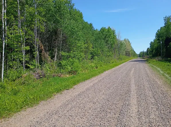 55.77 AC NEUBERGER RD #+/- 55.77, Glidden, WI 54527