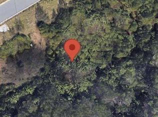 439 Longwood Pl Lot 53, Dallas, GA