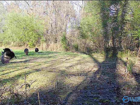 5th image of Bishop Mountain Rd