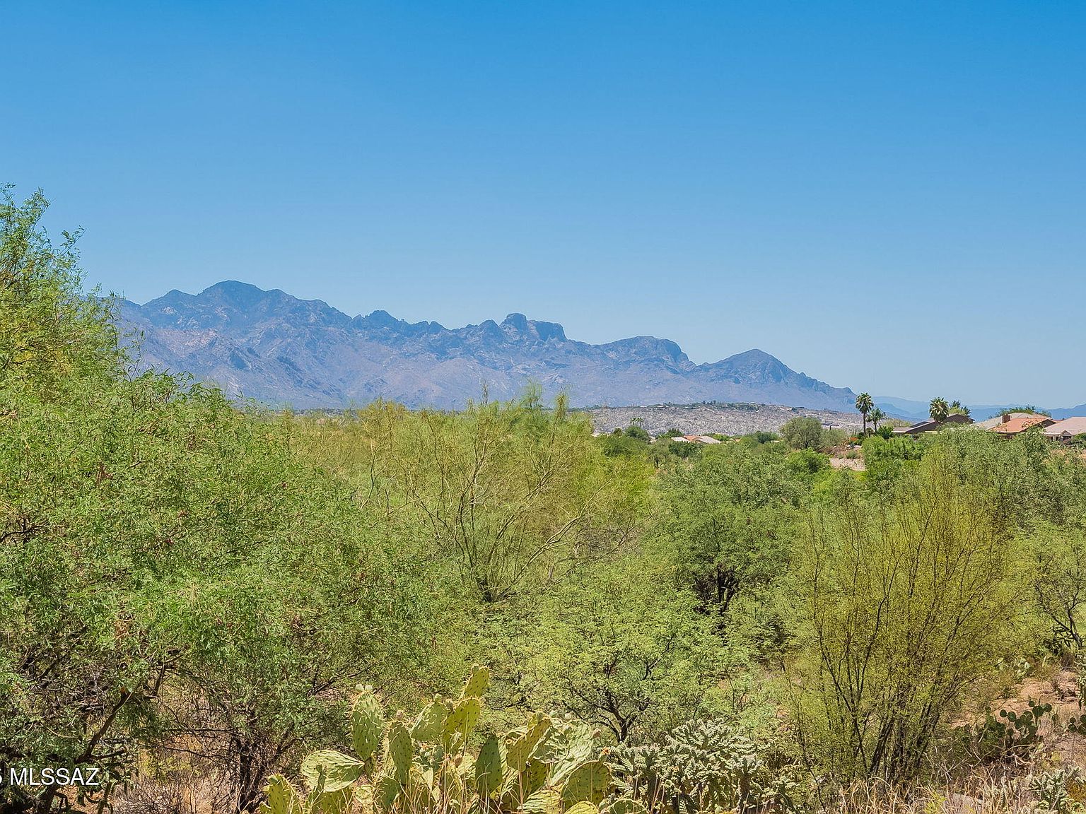 65873 E Desert Ridge Dr