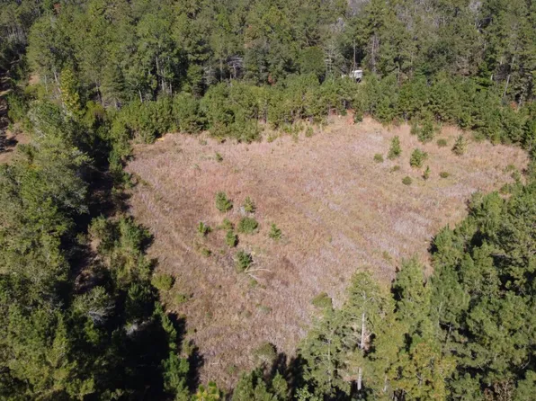 Tbd Joe Lorenz Rd, Singer, LA 70660