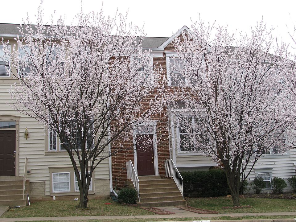 3271 Gina Place