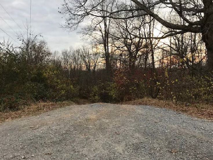 2nd image of 2505 Scotty Parker Rd