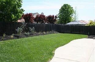 Great patio and backyard