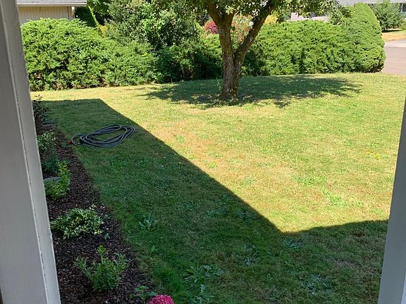 New shrubs in front of house.