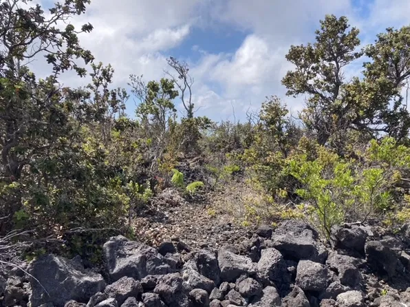 Poinciana Dr Lot 6, Ocean View, HI 96737