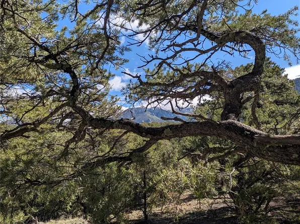 1814 Lobo Point, Crestone, CO 81131