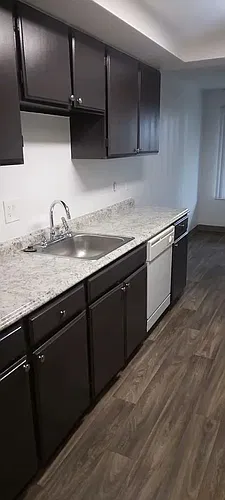 Forest View Apartments Photo 1