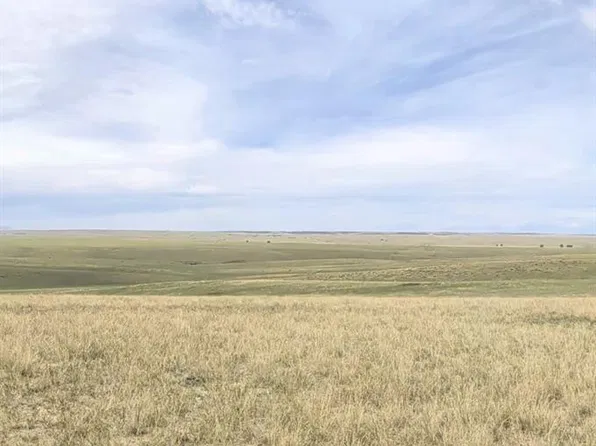 34000 County Road 160, Agate, CO 80101