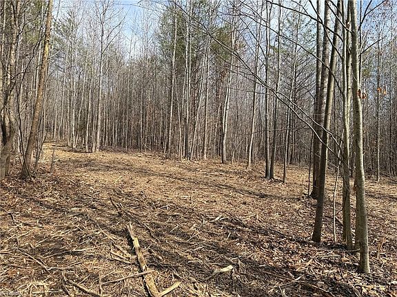 5th image of 1200 Purcell Rd