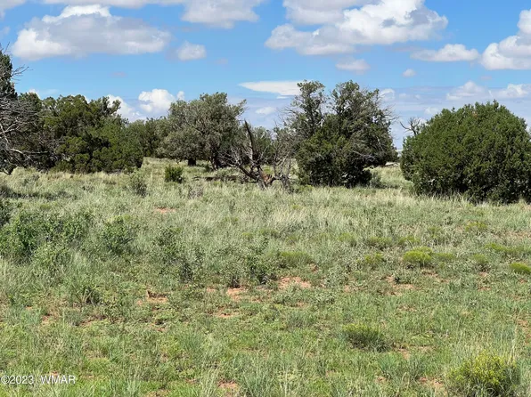 N 9033rd, Concho, AZ 85924