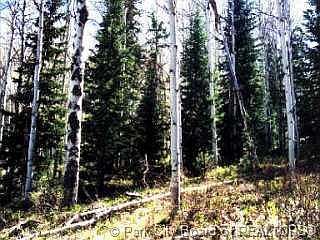 2nd image of 761 Blue Spruce Way #761