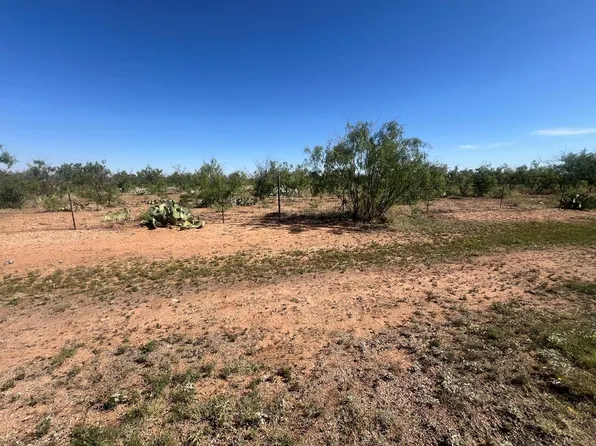 0 E Moss Lake Rd, Big Spring, TX 79720