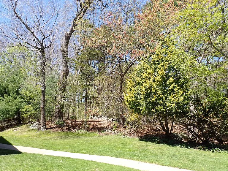 51 Jacqueline Rd #3 — Photo 17